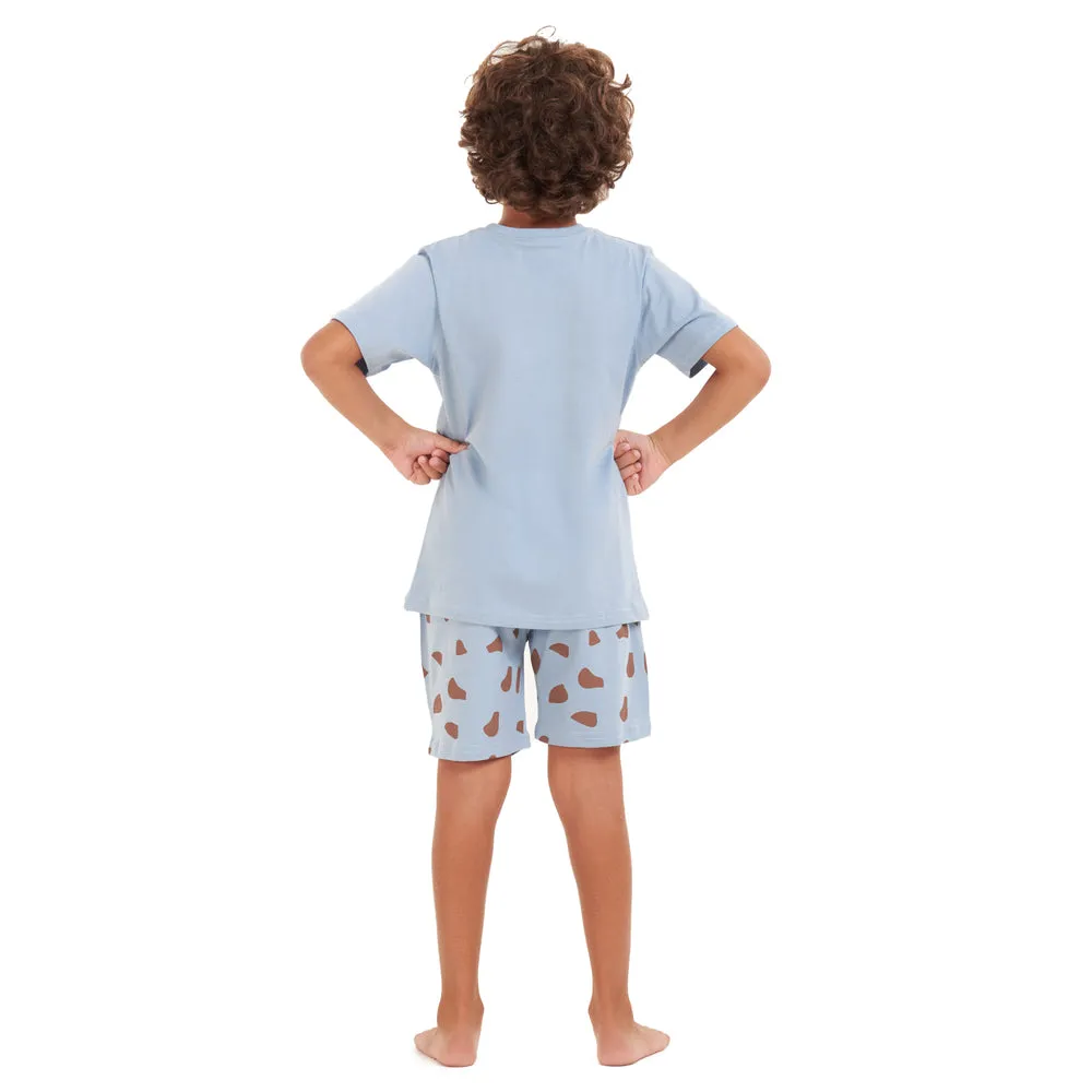 Boys summer pajama set Giraffe t-shirt  Light blue shorts