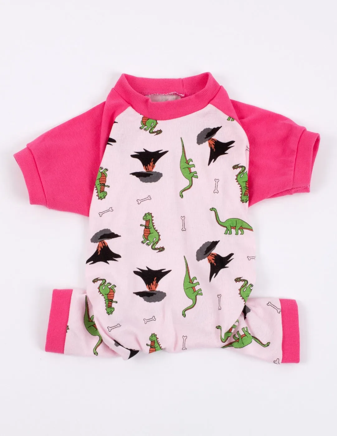 Dinosaur Matching Family Pajama Set