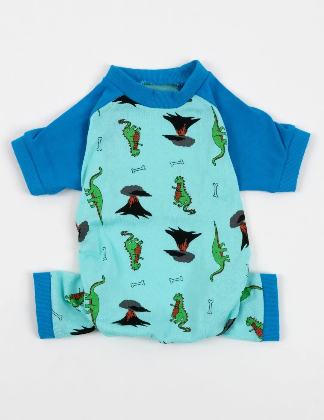 Dinosaur Matching Family Pajama Set