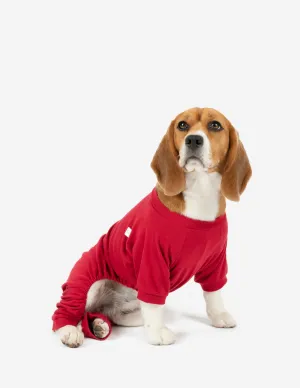 Dogs Solid Color Red Pajamas